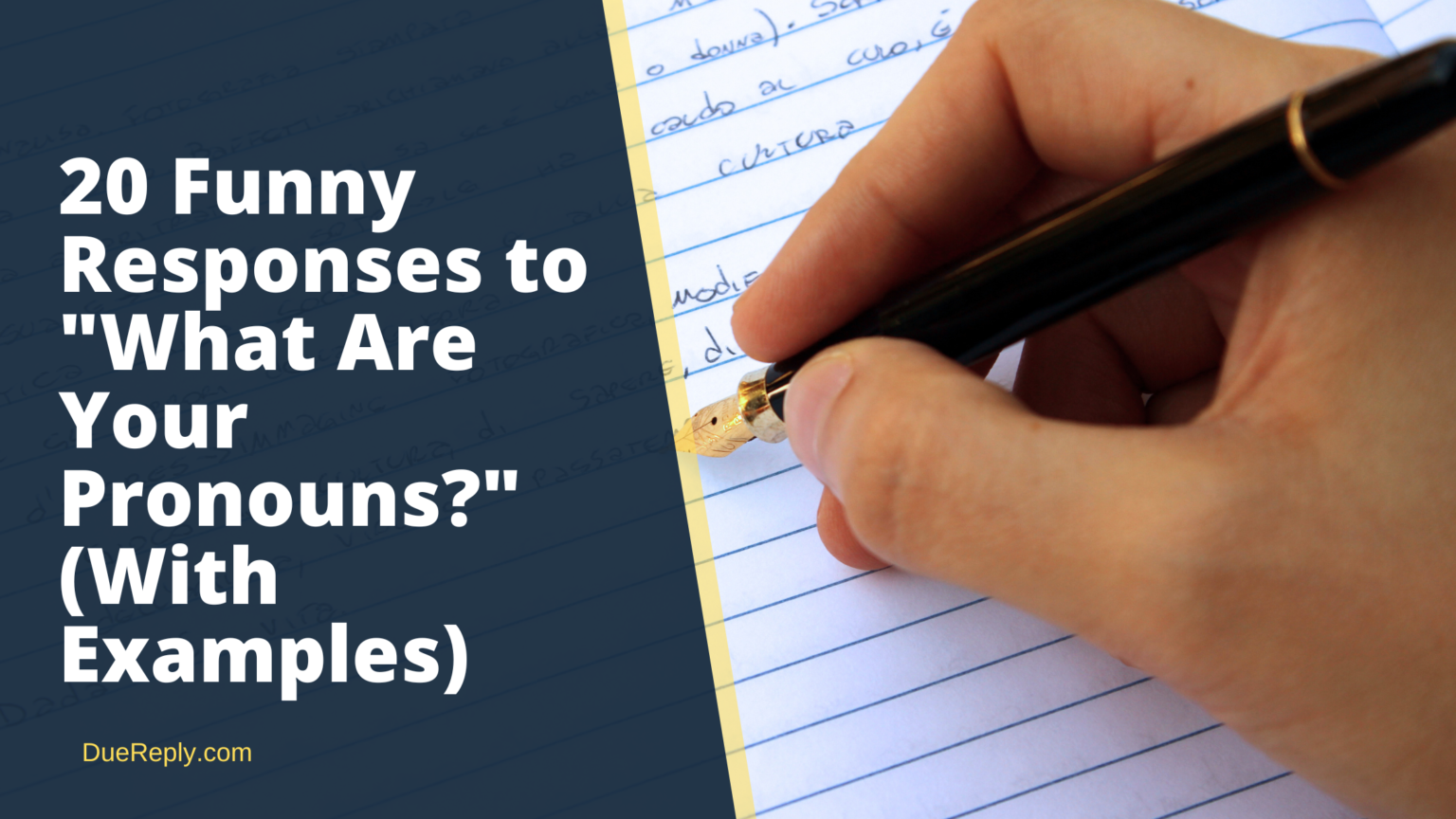 20 funny responses to what are your pronouns with examples duereply